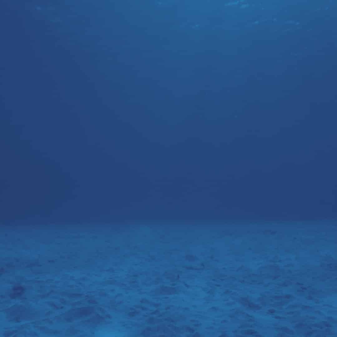 Common Mistakes in Network Design and Planning